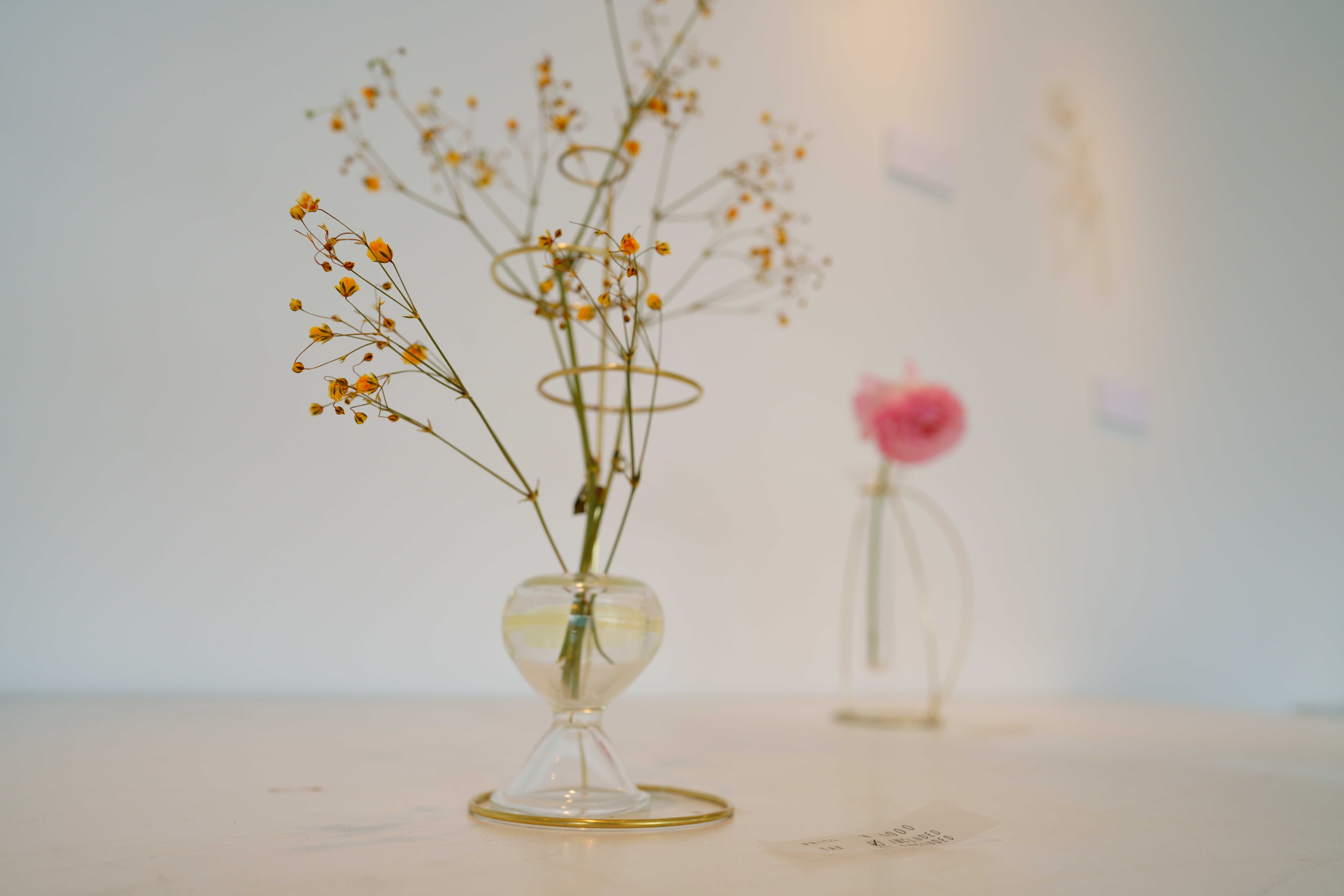 Header Banner Image